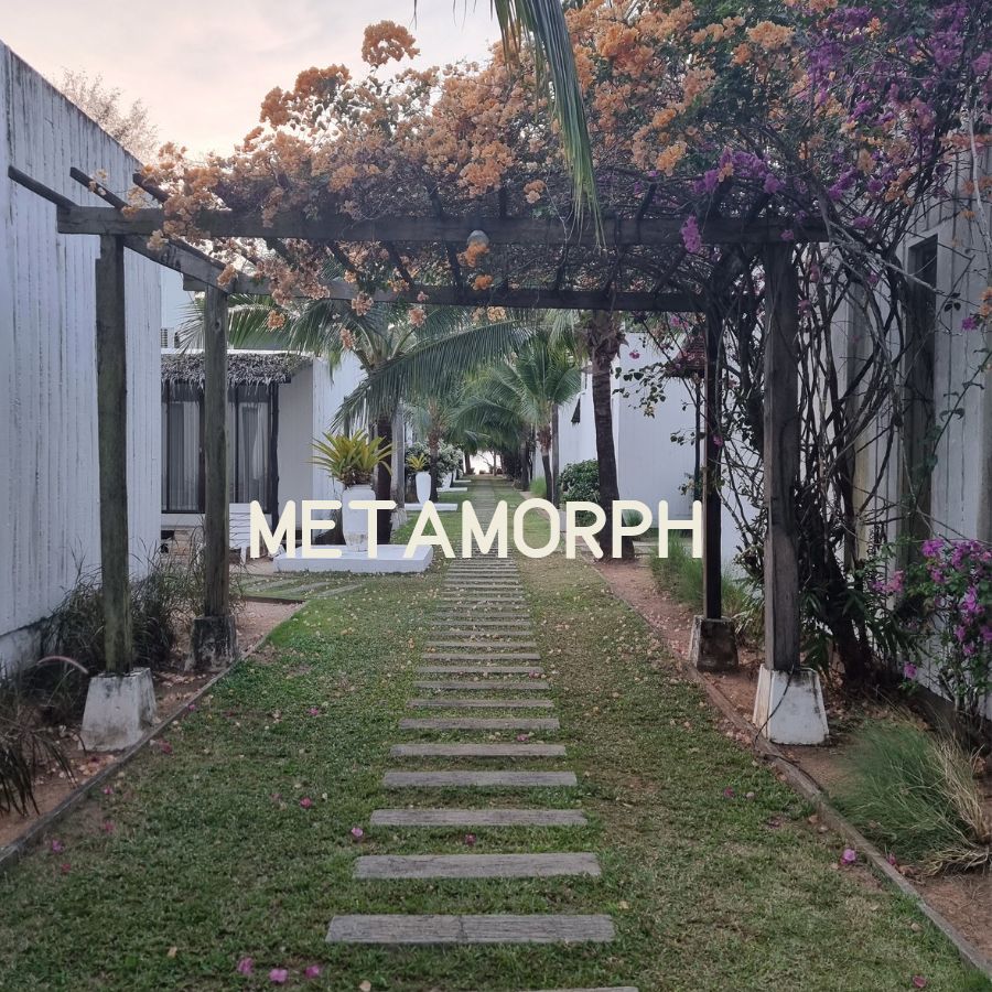 Metamorph, healing, change, somatic healing, survival, breaking cycles