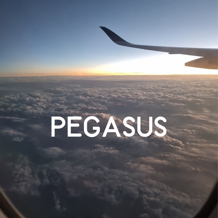 Pegasus, healing,  love, community