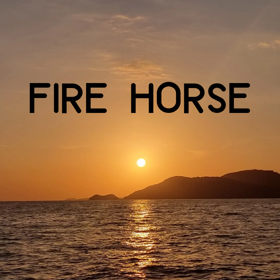 Phoenix, love, fire horse, wood snake, inner child, love in the dark, worth 